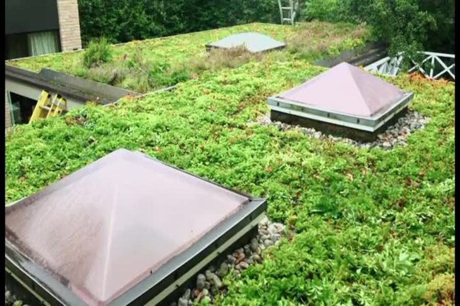 How A Green Roof Is Made