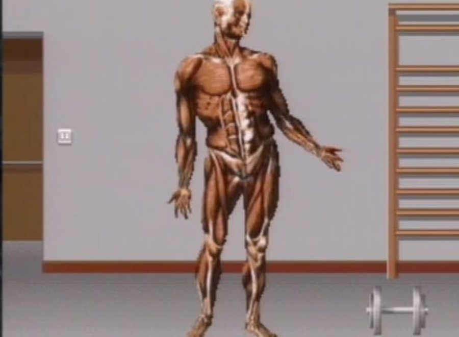 Still image from video series Just the Facts Biology of the Human Body Series