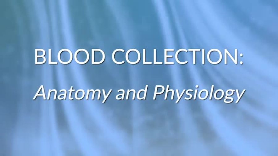 Still image from video Blood Collection: Anatomy and Physiology (2021 edition)