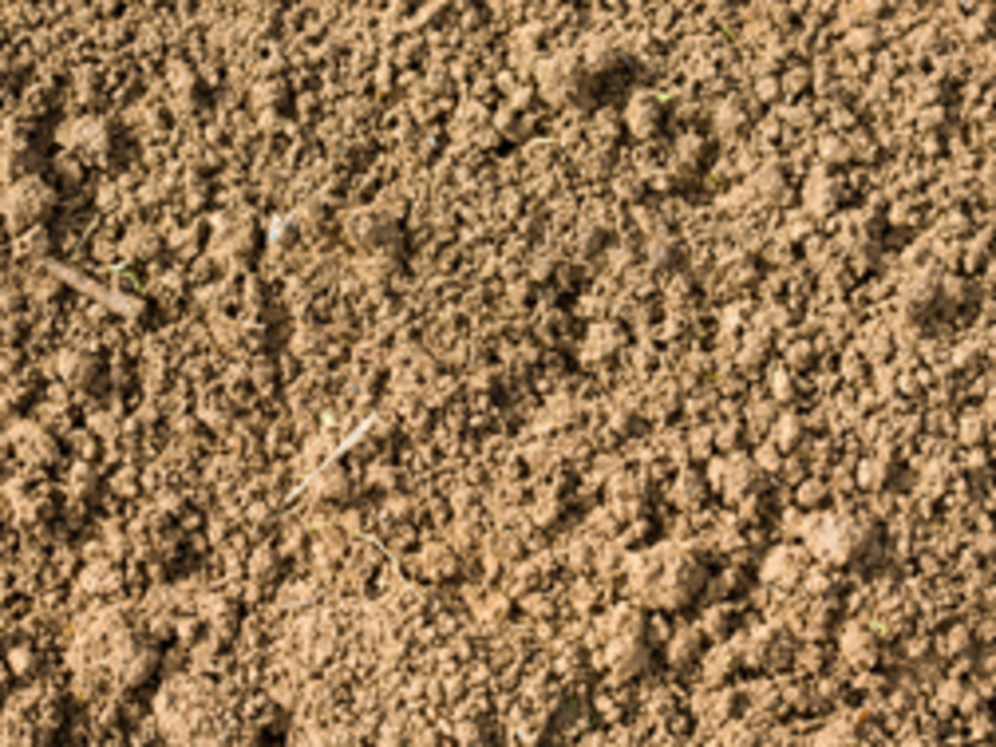 Soils-profiles-and-processes-[video]